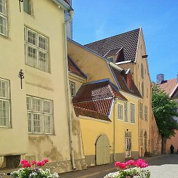 Viktor, ������, 73 ����
