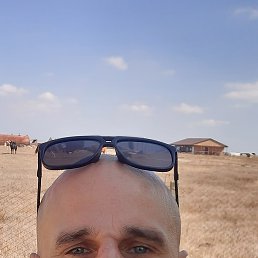 , 40, 