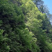 ����, 42 ����, ����