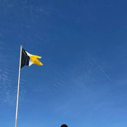 �����, ������, 37 ���