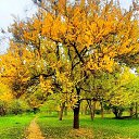 ���� �������, �����-���������, 78 ��� - ��������� 28 ������� 2023 � ������ ���� ����������