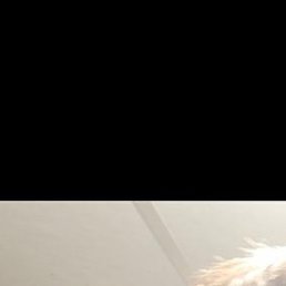 ������, ���������, 40 ���