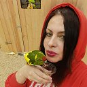 ���� �����, ������������ - ��������� 9 ������ 2026 � ������ ���� ����������