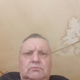 , 53,  