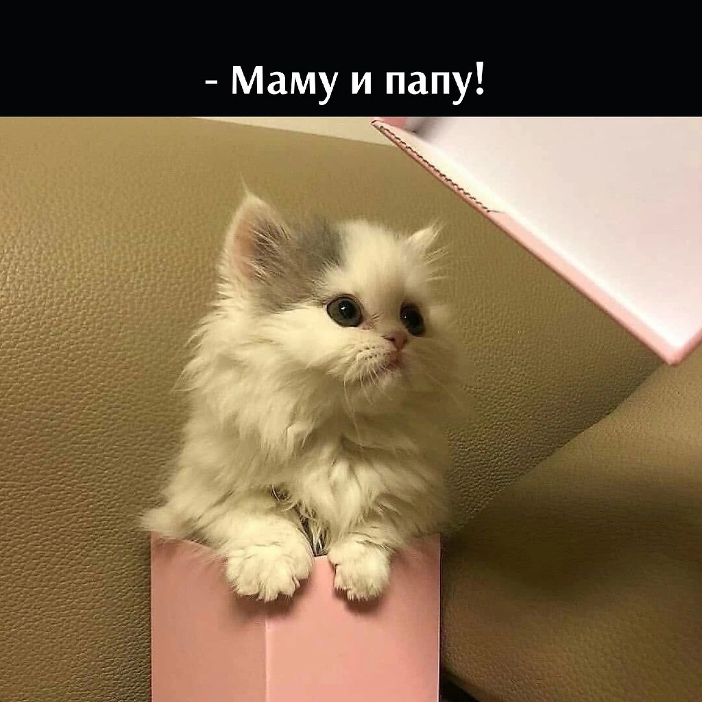 ��� ���� � ����� �� �� - 23 ������� 2026 � 11:30 - 2