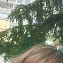 ���� �����, ����, 54 ���� - ��������� 1 ������� 2025 � ������ ���� ����������