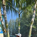 ���� ���, ���� - ��������� 15 ������ 2026 � ������ ���� ����������