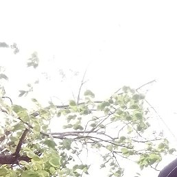 ������, ���, 46 ���