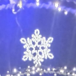 ������, �����, 44 ����