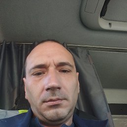 ���������, 38 ���, ������