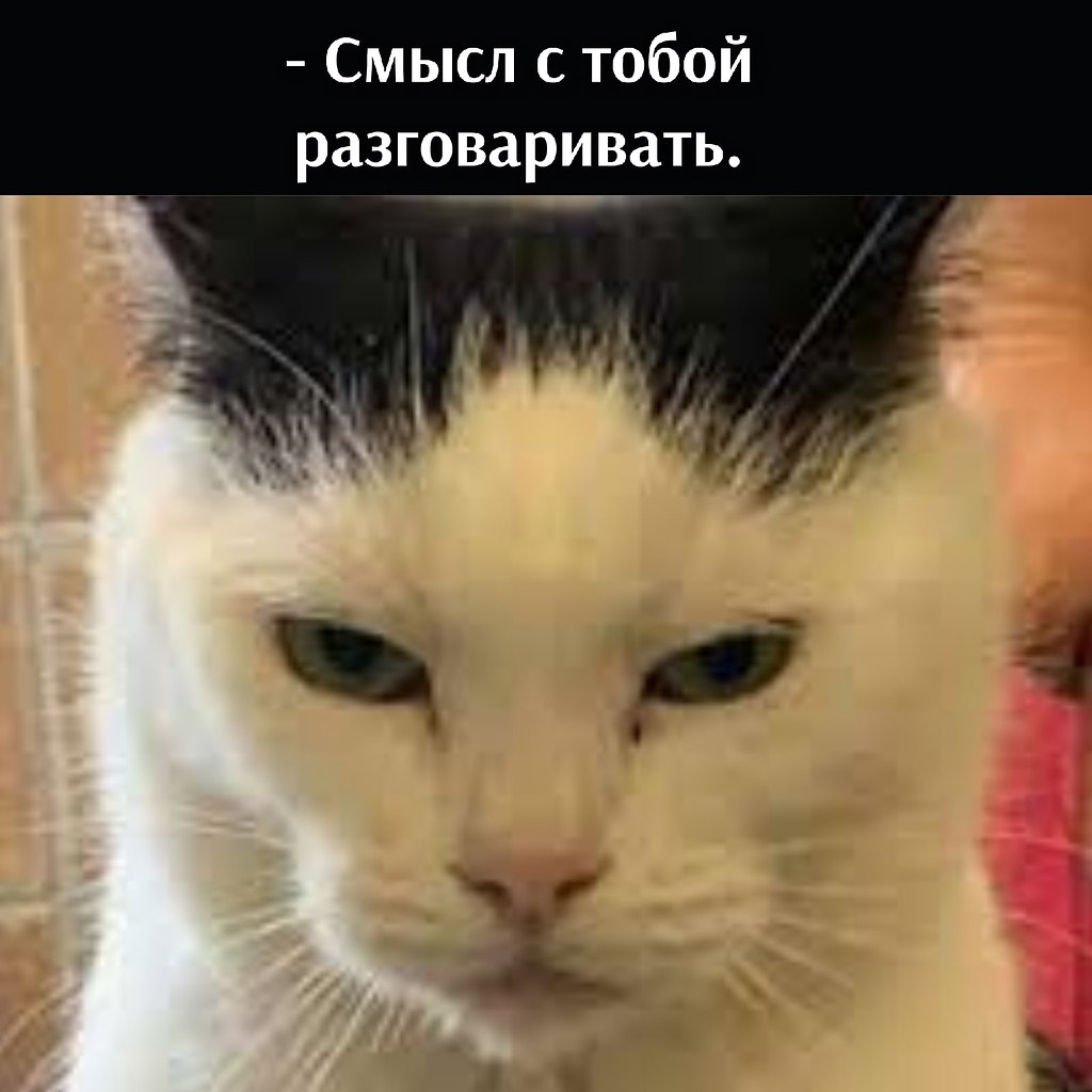 ��� ���� � ����� �� �� - 31 ������� 2025 � 12:30 - 4