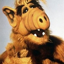 �������, ������, 24 ����