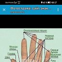 ���� �������, �����-���������, 48 ��� - ��������� 8 ���� 2025 � ������ ���� ����������