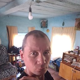 , 37 , 