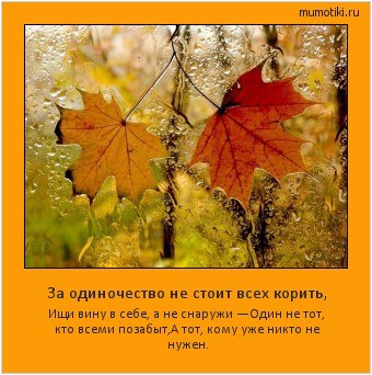 ОБО ВСЕМ - 11 октября 2025 в 17:34