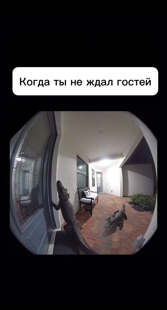    !            ... - 2
