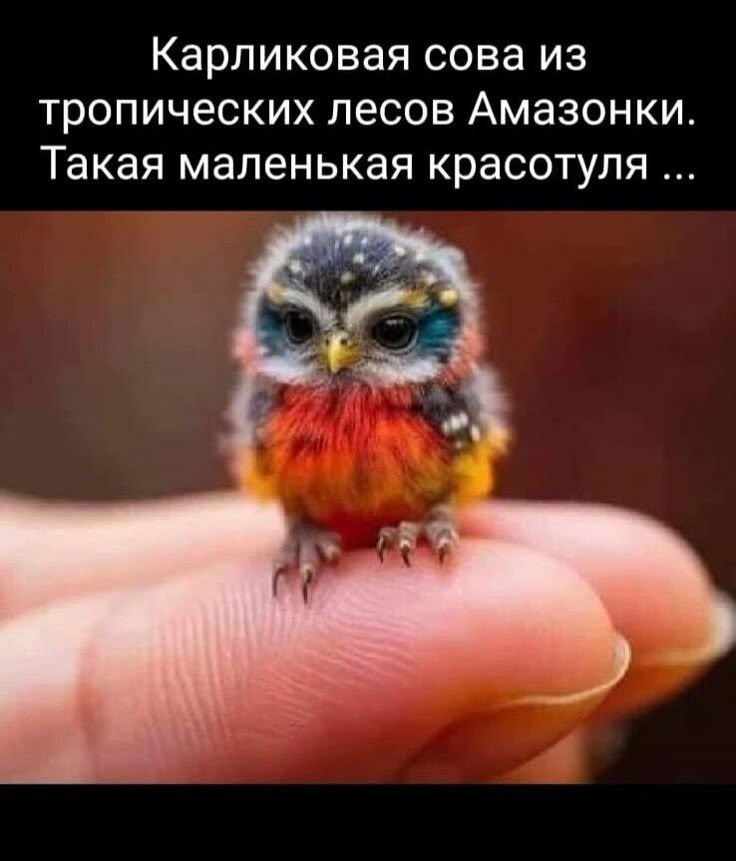 :)