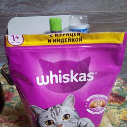 ���� ������� ������, ������, 51 ��� - ��������� 21 ������ 2024