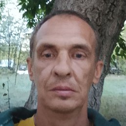 ������, ��������, 43 ����