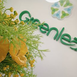 ���� �����, ����������, 44 ���� - ��������� 24 ������� 2026