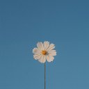 ���� ������, ��������, 37 ��� - ��������� 13 ������ 2024 � ������ ���� ����������