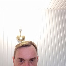 , 52, 