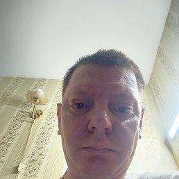 ������, 41 ���, ��������