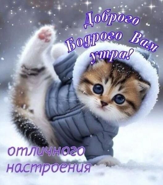 ₪╬═►  ||  ||  ◄═╬₪ - 1  2024  07:11