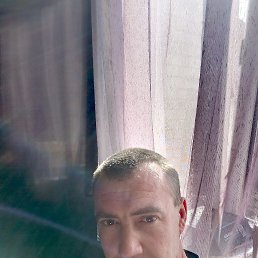 , 41, 