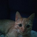 ���� �������, ������, 44 ���� - ��������� 8 ������ 2025