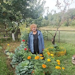 �����, ������, 60 ���