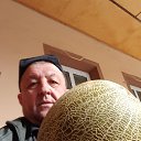 ���� ����, �������, 54 ���� - ��������� 26 ������ 2023 � ������ ���� ����������