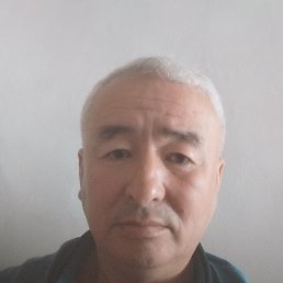 , 52, 