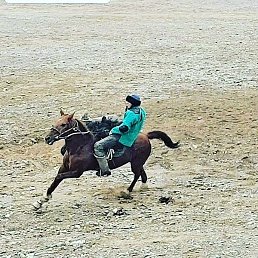 ������ ��������, �����, 38 ���