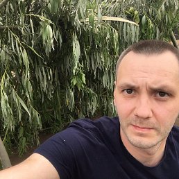 ���� ������, ���, 42 ���� - ��������� 19 ����� 2026