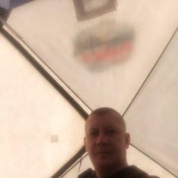 , 41, 