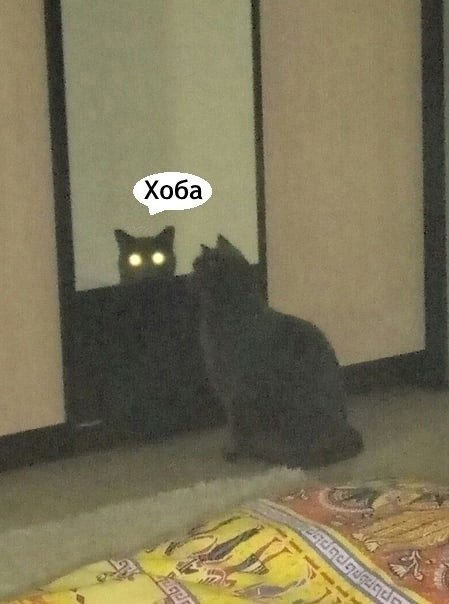   - 6