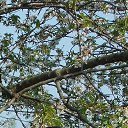 ���� Wladislav, ��������, 46 ��� - ��������� 13 ������� 2024 � ������ ���� ����������