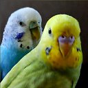 ���� ������� - �� ��������!, �������� - ��������� 7 ������� 2025 � ������ ������ ��������