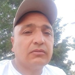 �����, ������, 44 ����