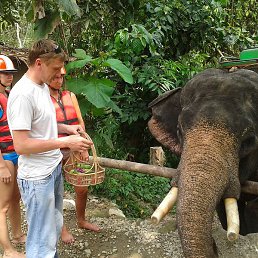 ����, ����������, 47 ���