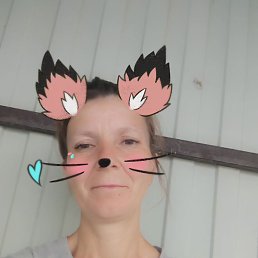 ���, 40 ���, ������-��-����