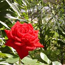 ���� �������, �������, 42 ���� - ��������� 8 ������� 2025 � ������ ���� ����������