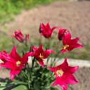 ���� �������, ������� ����, 65 ��� - ��������� 15 ��� 2026 � ������ ������ ��������