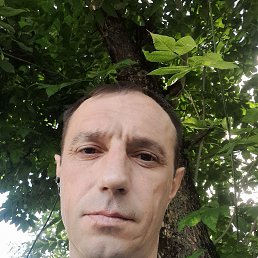 ���� ������ ������, ������, 41 ��� - ��������� 8 ���� 2024