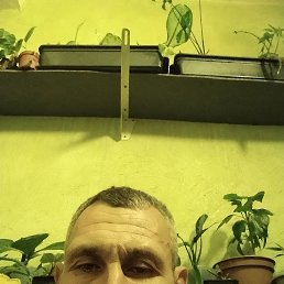 A, 48, 