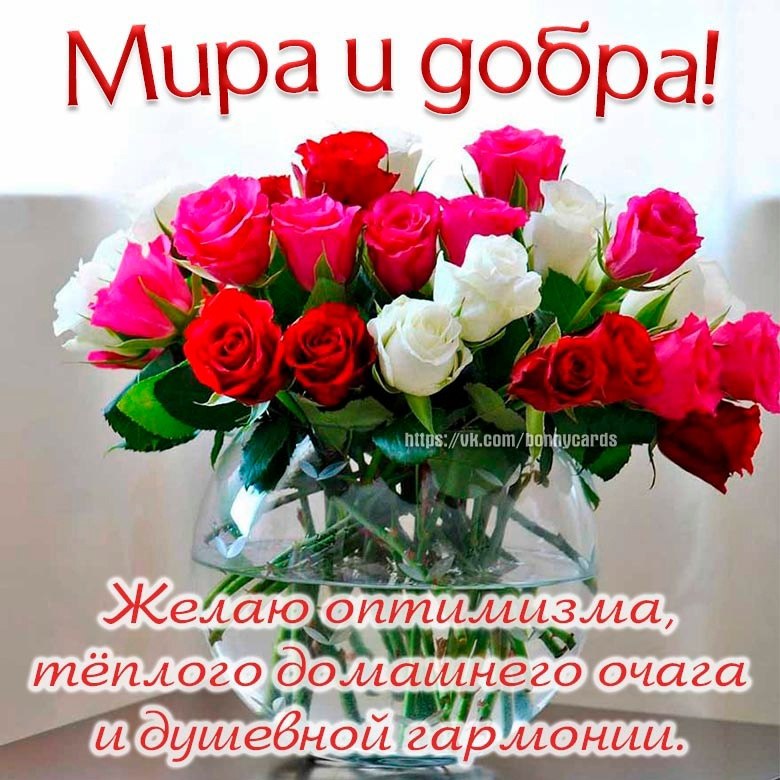 ����� ������ ���� ���� ����� �������� ��������� � ������, ������ - ������� � ��������, � ���� - ...