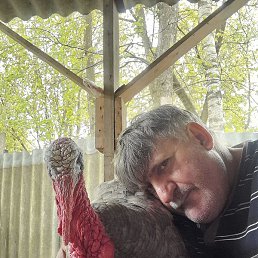 ����� ������, ������, 56 ���