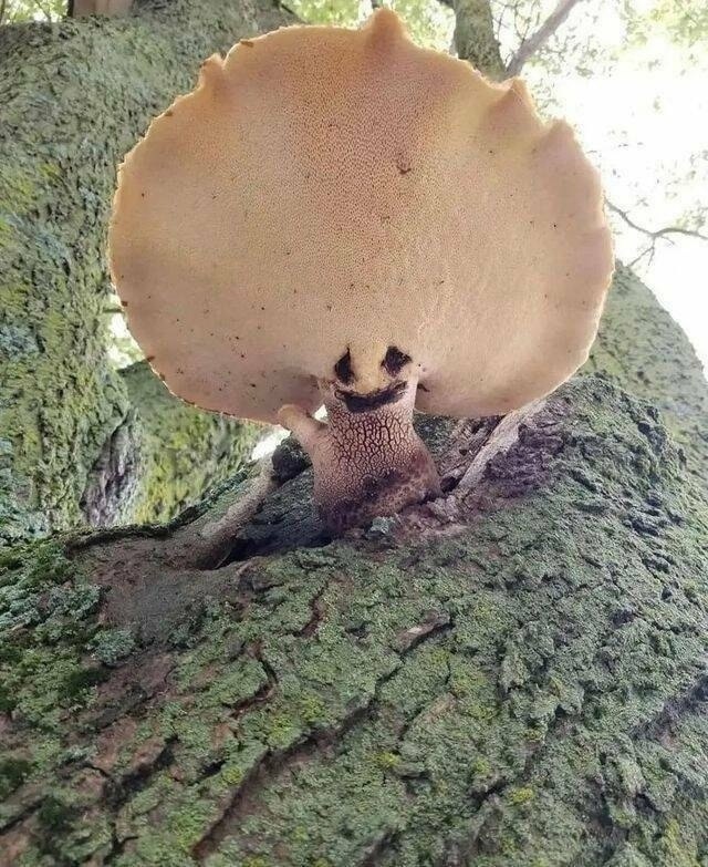 , !