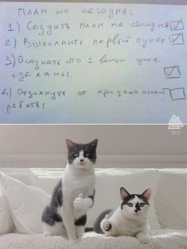4    ,       